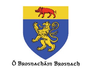 The Ó Brosnacháin coat of arms has the blazon of a gold lion rampant on a blue field, in chief a red boar on a gold field.